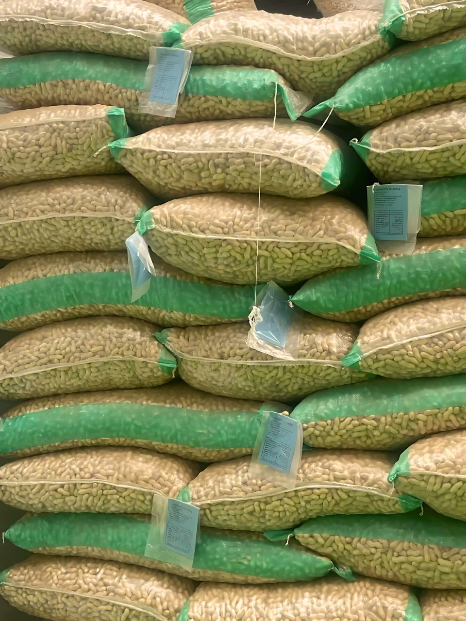 Crops Stacked bags of green supplies in storage or warehouse Exporter