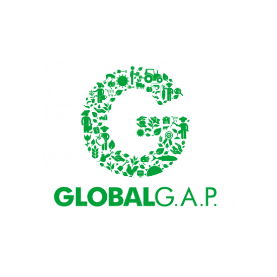 Crops GLOBALG.A.P. logo with green leaf design. Sustainable agriculture certification. Exporter