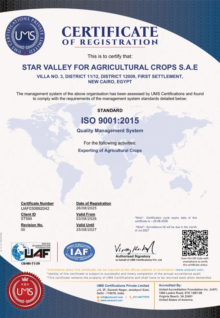 ISO 9001 certificate